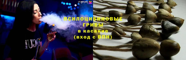 стаф Михайлов