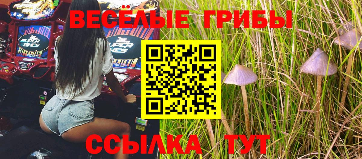 Галлюциногенные грибы ЛСД Алапаевск